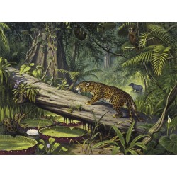 Ταπετσαρία DUTCH WALL DECOR NATURAL HISTORY NH250065-DWD