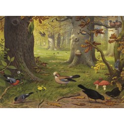 Ταπετσαρία DUTCH WALL DECOR NATURAL HISTORY NH250069-DWD