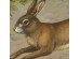 Ταπετσαρία DUTCH WALL DECOR NATURAL HISTORY NH250070-DWD