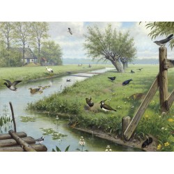 Ταπετσαρία DUTCH WALL DECOR NATURAL HISTORY NH250071-DWD