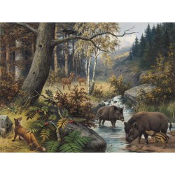 Ταπετσαρία DUTCH WALL DECOR NATURAL HISTORY NH250073-DWD