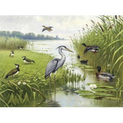 Ταπετσαρία DUTCH WALL DECOR NATURAL HISTORY NH250074-DWD