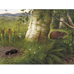 Ταπετσαρία DUTCH WALL DECOR NATURAL HISTORY NH250075-DWD