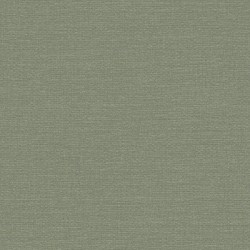Ταπετσαρία PARISIENNE PR1008-KTE
