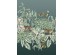 Ταπετσαρία BEHANG EXPRESSE SELECT.D TD4102-BEH