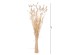 ΔΙΑΚΟΣΜΗΤΙΚΟ ΜΠΟΥΚΕΤΟ ΑΠΟΞΗΡΑΜΕΝΟ HM7959 RABBIT TAIL- CREAM 50gr 76Υεκ. ΔΙΑΚΟΣΜΗΤΙΚΟ ΜΠΟΥΚΕΤΟ ΑΠΟΞΗΡΑΜΕΝΟ HM7959 RABBIT TAIL- CREAM 50gr 76Υεκ.