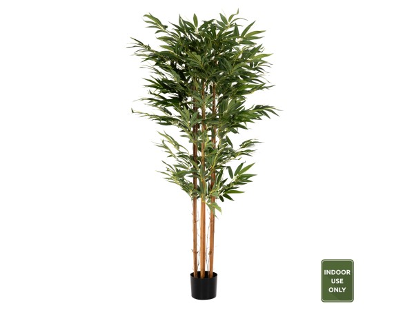 ΔΙΑΚΟΣΜΗΤΙΚΟ ΣΥΝΘΕΤΙΚΟ ΦΥΤΟ HM4004 BAMBOO ΣΕ ΓΛΑΣΤΡΑ 180Υεκ. ΔΙΑΚΟΣΜΗΤΙΚΟ ΣΥΝΘΕΤΙΚΟ ΦΥΤΟ HM4004 BAMBOO ΣΕ ΓΛΑΣΤΡΑ 180Υεκ.