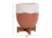 ΓΛΑΣΤΡΕΣ ΣΕΤ 2ΤΜΧ SEON HM4686.08 TERRACOTTA ΣΕ ΛΕΥΚΟ & ΤΕΡΑΚΟΤΑ--TEAK ΒΑΣΗ ΓΛΑΣΤΡΕΣ ΣΕΤ 2ΤΜΧ SEON HM4686.08 TERRACOTTA ΣΕ ΛΕΥΚΟ & ΤΕΡΑΚΟΤΑ--TEAK ΒΑΣΗ
