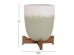 ΓΛΑΣΤΡΕΣ ΣΕΤ 2ΤΜΧ SEON HM4686.09 TERRACOTTA ΣΕ ΛΕΥΚΟ & ΠΡΑΣΙΝΟ--TEAK ΒΑΣΗ ΓΛΑΣΤΡΕΣ ΣΕΤ 2ΤΜΧ SEON HM4686.09 TERRACOTTA ΣΕ ΛΕΥΚΟ & ΠΡΑΣΙΝΟ--TEAK ΒΑΣΗ