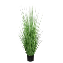 ONION GRASS TREE  NP1011_120 ΥΨΟΣ 120cm NewPlan