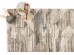 ΧΑΛΙ BELLAGIO 9790 - 160X230 NewPlan ΧΑΛΙ BELLAGIO 9790 - 160X230 NewPlan