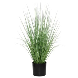 ONION GRASS TREE  NP1009_60 ΥΨΟΣ 60cm NewPlan