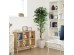 FICUS TREE NP0081_210 ΥΨΟΣ 210cm NewPlan FICUS TREE NP0081_210 ΥΨΟΣ 210cm NewPlan