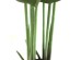 BANANA TREE NP1410_120  ΥΨΟΣ 120cm NewPlan