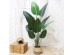 BANANA TREE NP1411_160 ΥΨΟΣ 160cm NewPlan BANANA TREE NP1411_160 ΥΨΟΣ 160cm NewPlan