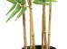 BAMBOO  NP5801_150_22_UV   ΥΨΟΣ 150cm NewPlan