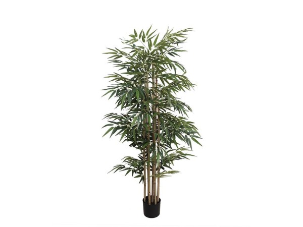 BAMBOO  NP824_153  ΥΨΟΣ 153cm NewPlan