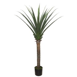 AGAVE TREE  NP802_160  ΥΨΟΣ 160cm NewPlan