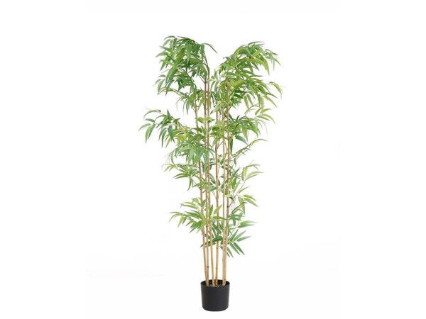 BAMBOO  NP5801_150_22_UV   ΥΨΟΣ 150cm NewPlan