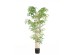 BAMBOO  NP5801_150_22_UV   ΥΨΟΣ 150cm NewPlan