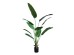BANANA TREE NP1411_160 ΥΨΟΣ 160cm NewPlan BANANA TREE NP1411_160 ΥΨΟΣ 160cm NewPlan