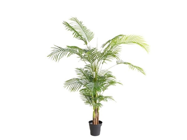 PALM TREE NP5502_180_22 ΥΨΟΣ 180cm NewPlan PALM TREE NP5502_180_22 ΥΨΟΣ 180cm NewPlan