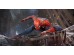 Φωτοταπετσαρία Spiderman 14 Φωτοταπετσαρία Spiderman 14